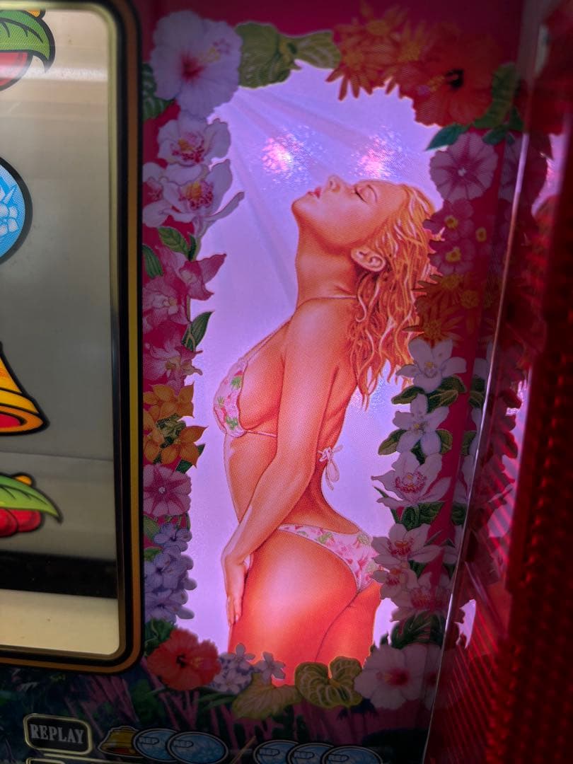 激レア台 家スロ OLYMPIA 南国美人 パチスロ機