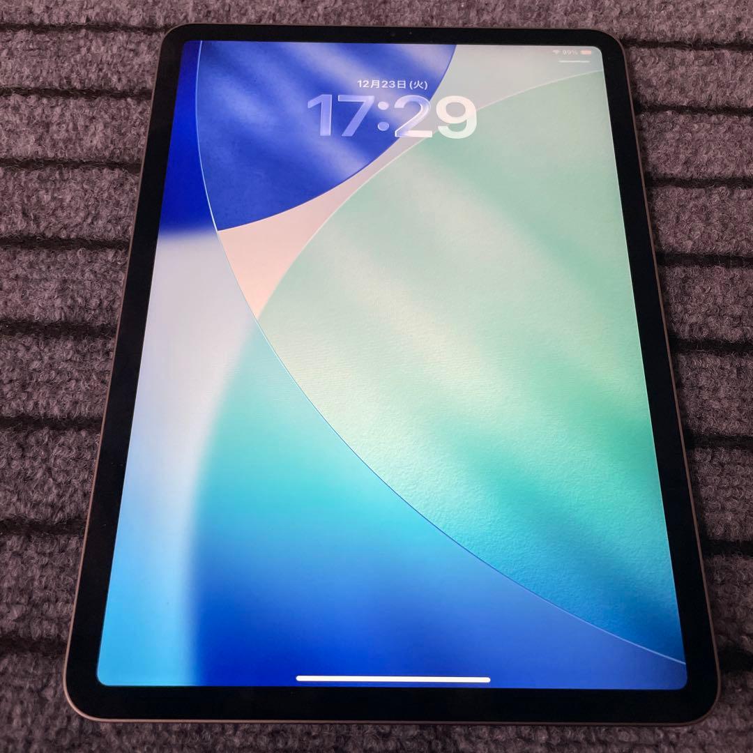 146【早い者勝ち】 iPad Pro 11 2世代 128GB スペースグレイ