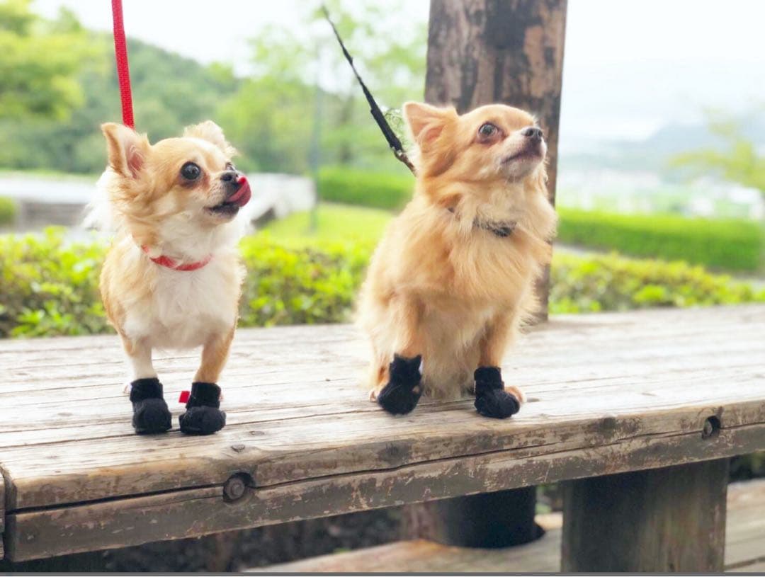 アニサポ ナックルンHERO XS