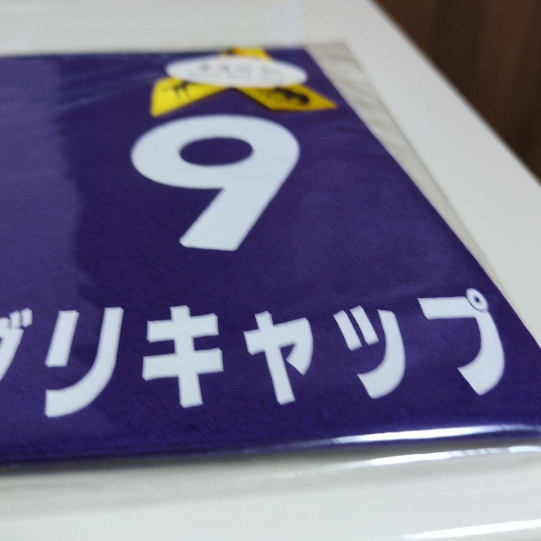 オグリキャップ第40回安田記念ミニゼッケン貴重地方競馬の星ウマ娘人気送料込み