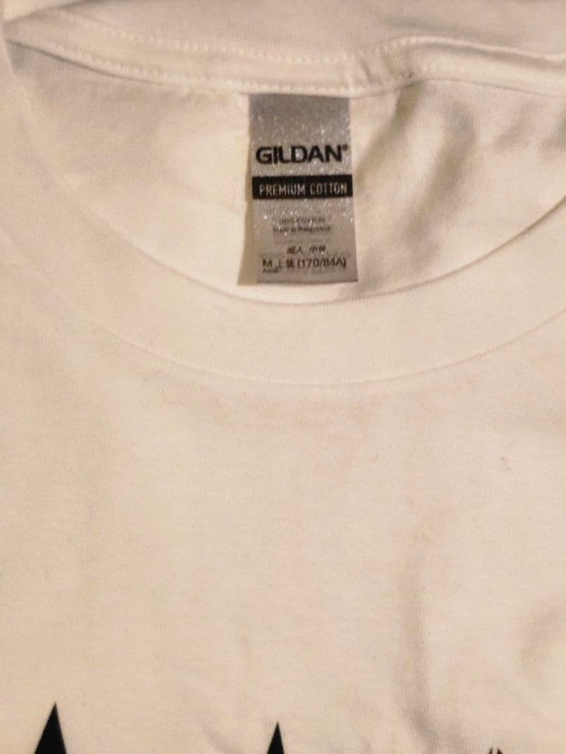 れてんジャダム　全ての出会いに感謝　Tシャツ白　半袖