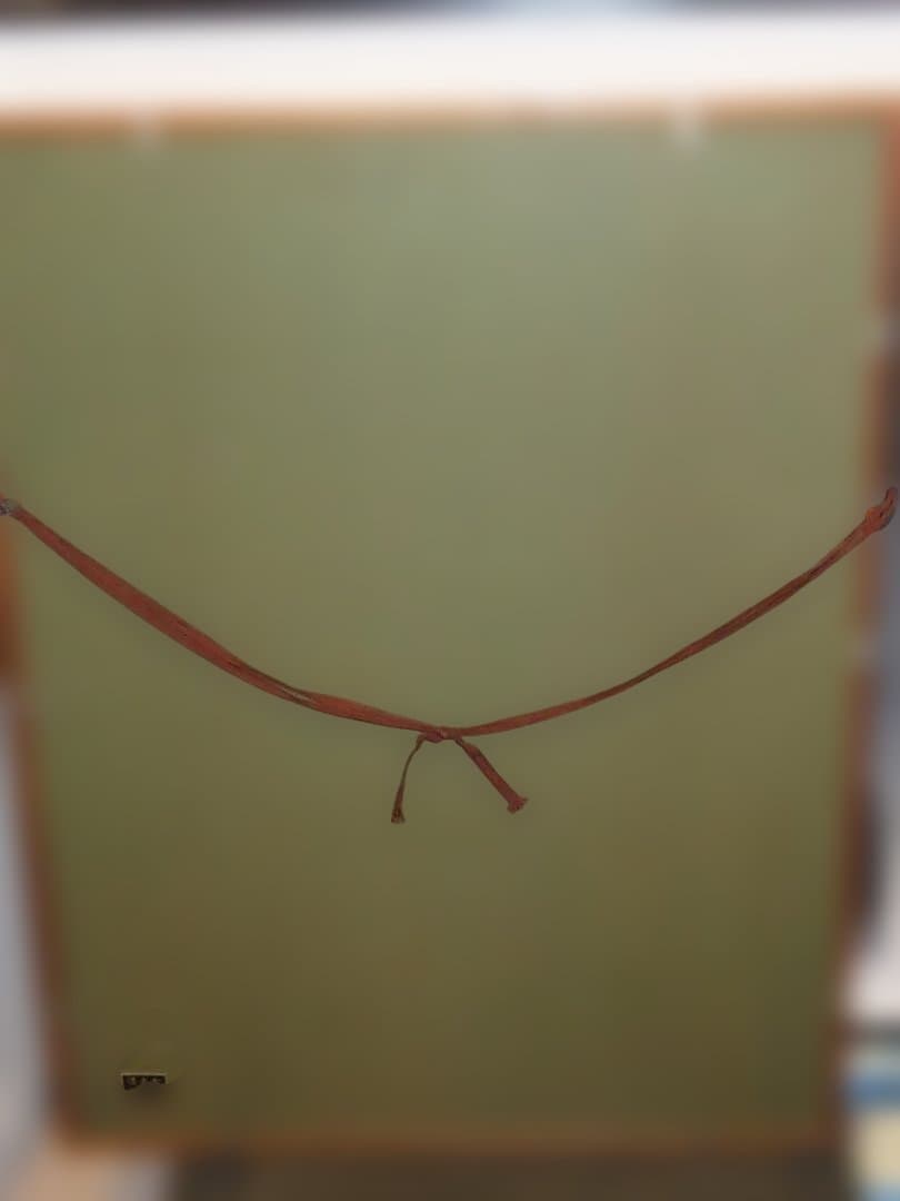 パブロ・ピカソ作品 花束を持つ手 輪舞　2作品　edition　サインなし