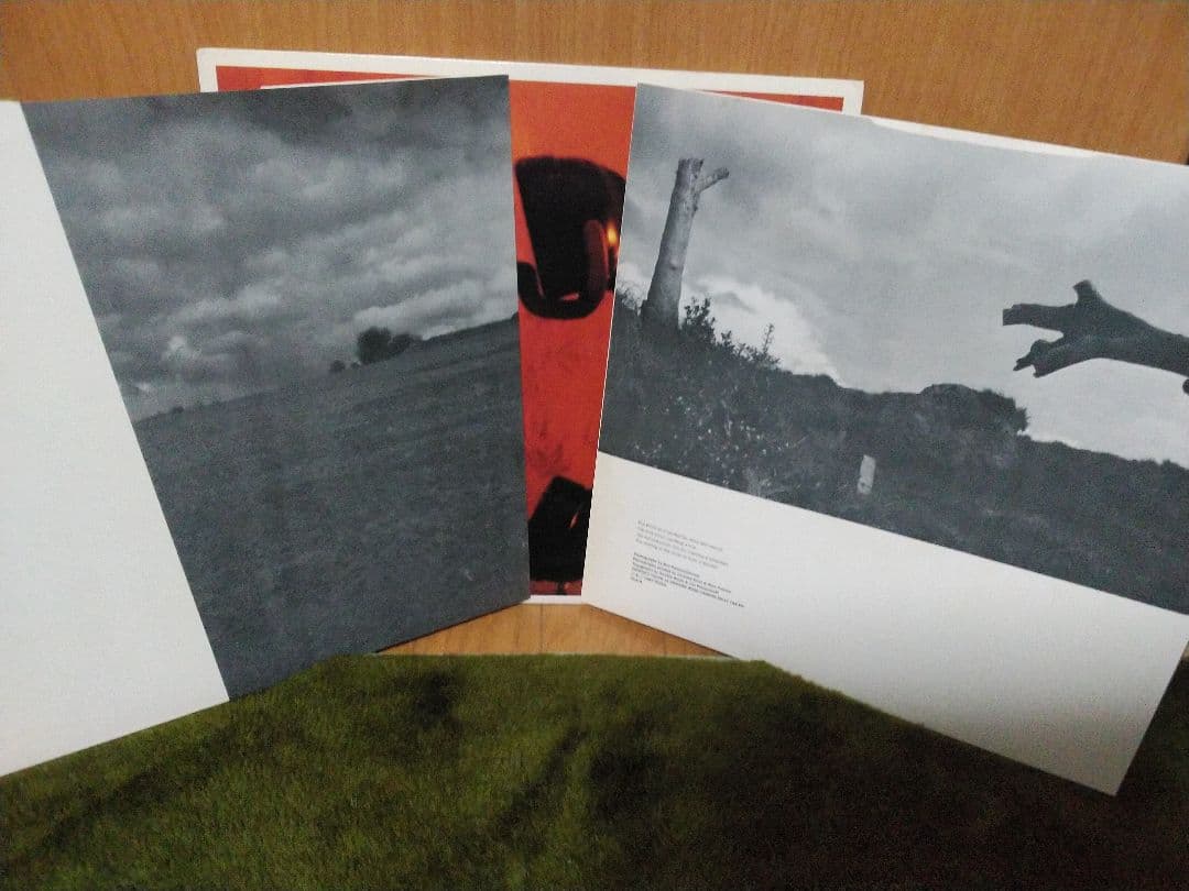 THE HAFLER TRIO．A THIRSTY FISH．レコード！