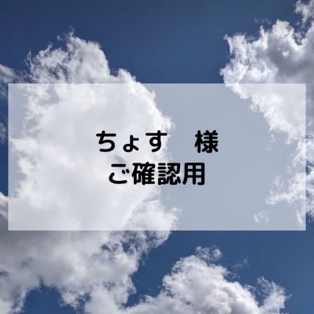 ちょす 様ご確認用ページ