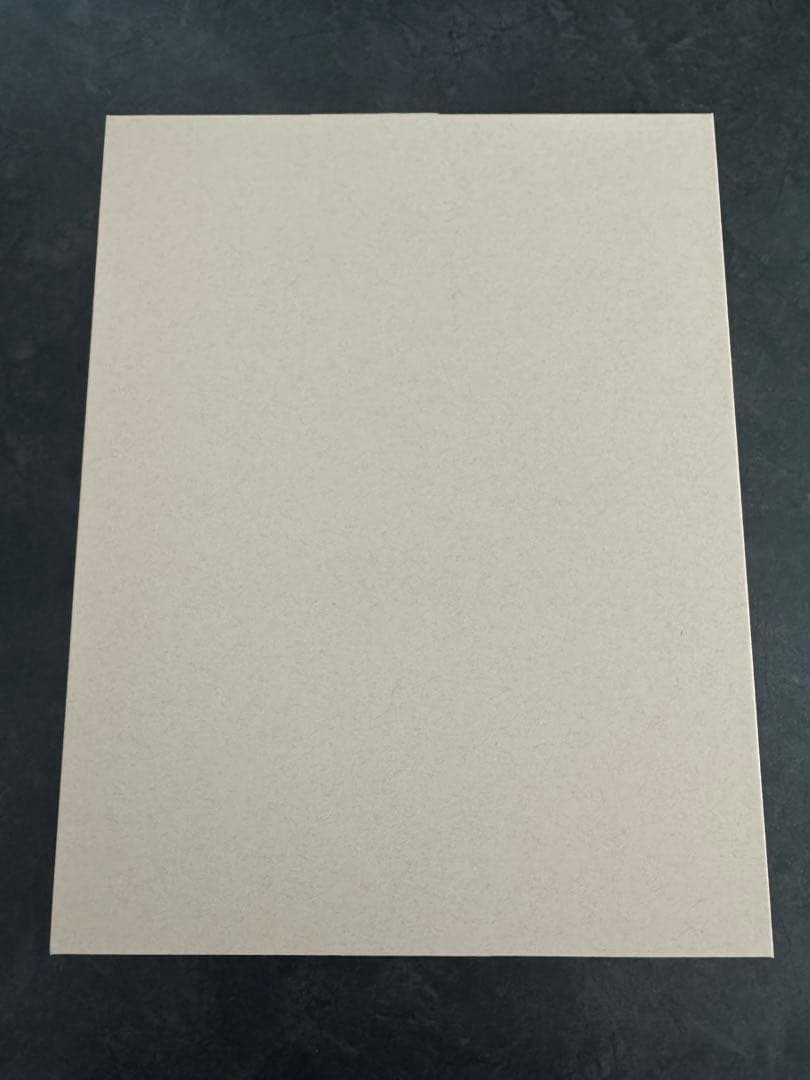 交換品新品　アップル iPad Pro 12.9インチ(第5世代)