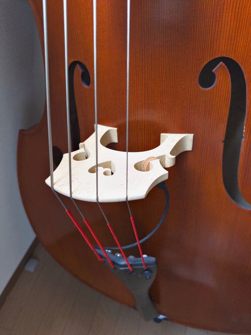 自宅用Gliga Gems Ⅱ G/Cコントラバス(国内4/4サイズ)