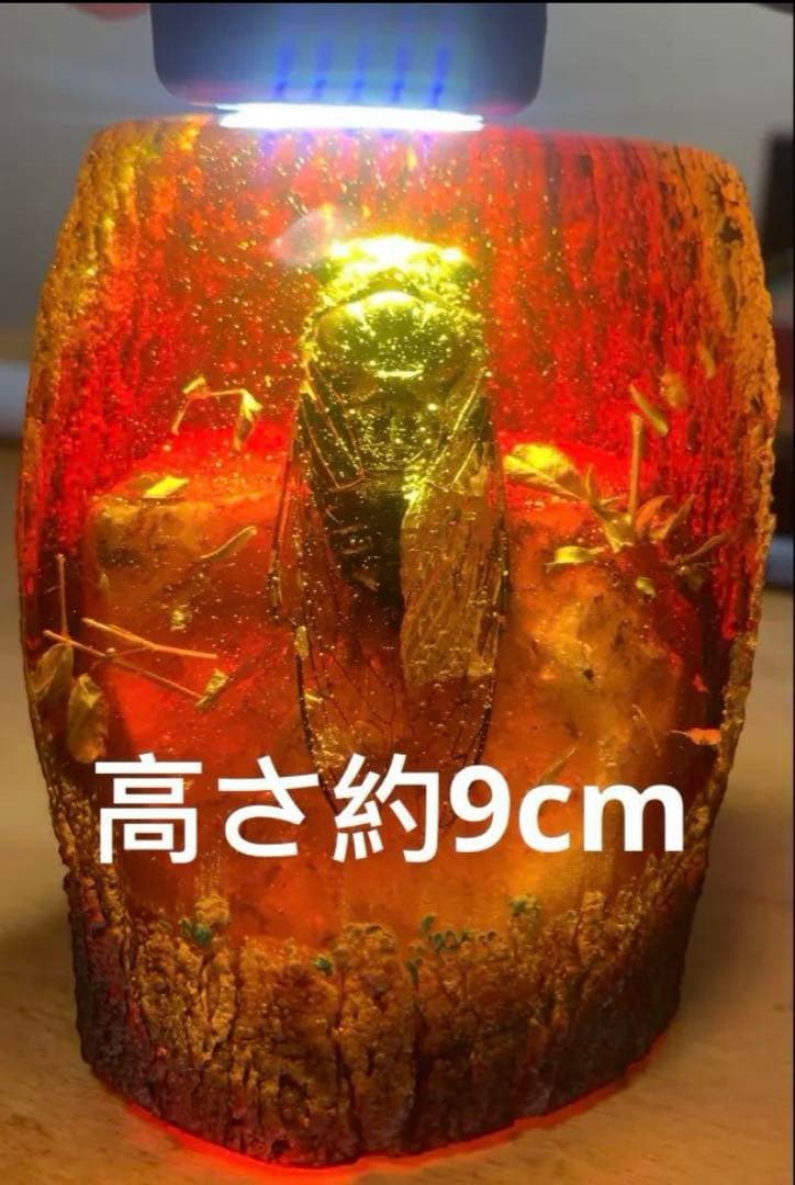 琥珀 セミの標本 セミ レジン封入 テイオウゼミ樹脂琥珀標本 大型インテリア 蝉