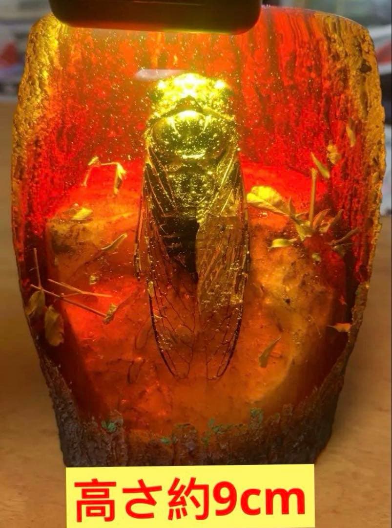 琥珀 セミの標本 セミ レジン封入 テイオウゼミ樹脂琥珀標本 大型インテリア 蝉