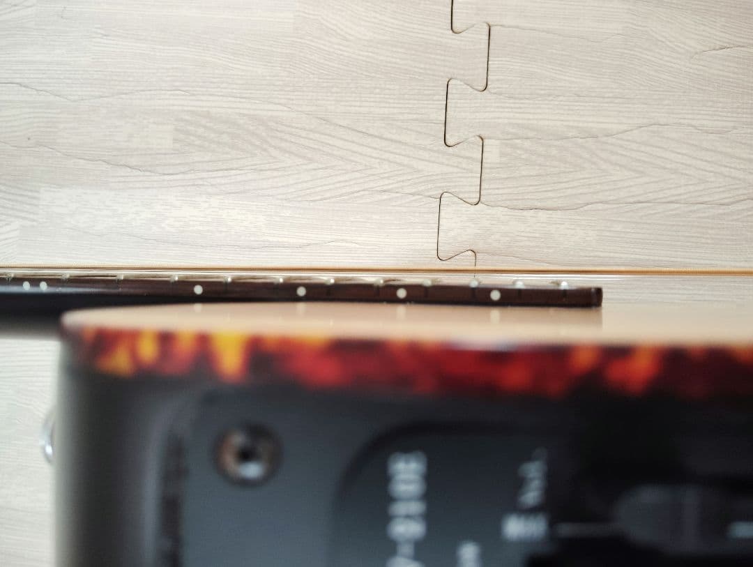 シェクター エレアコ OL-FL ナチュラル テレキャスタイプ SCHECTER