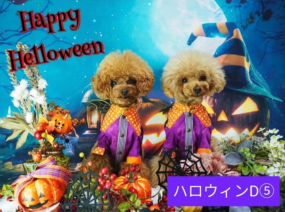 背景布ハロウィンK②　ペット、パーティー撮影用フェルトトリミングチョーカー販売中