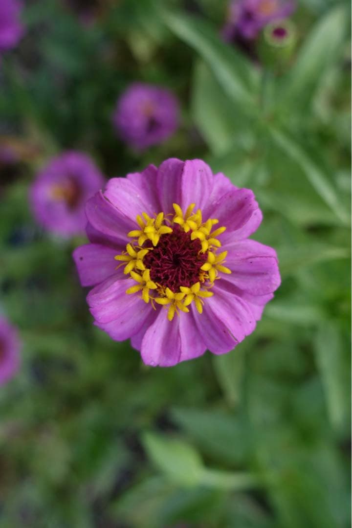 SONY RX100M3 実働品