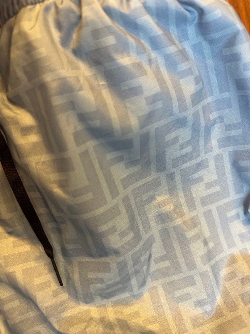 FENDIフェンディメンズ水着46（M）