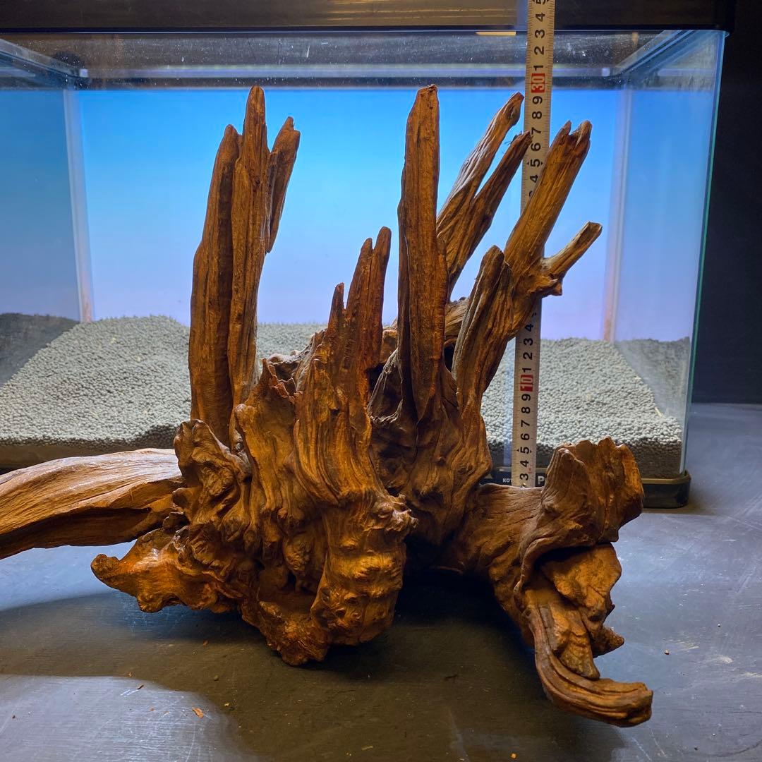 MRW-5822 赤系天然流木　自立流木　1点物　流木　アクアリウム