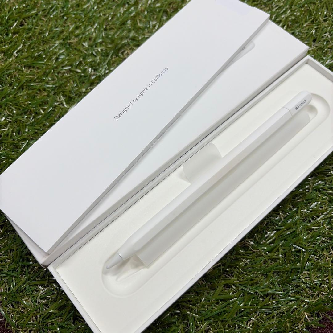 【純正】Apple Pencil (USB-C) 箱・付属品あり 動作確認済み