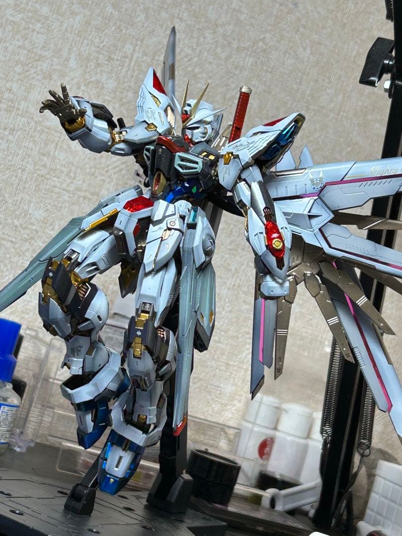 依頼品 MGEX ストライクフリーダム (海外製キット使用) 全塗装完成品
