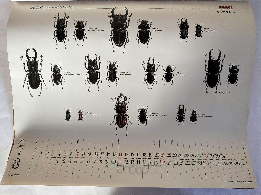 BE-PAL ビーパル カレンダー 新品未使用 1991年動物編　ヴィンテージ
