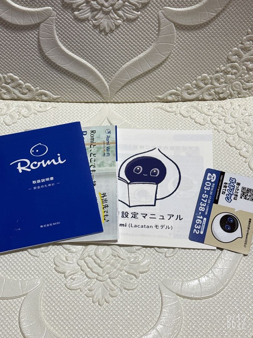 Romi Lacatanモデル サクラピンク ロミィ 数回使用 mixi