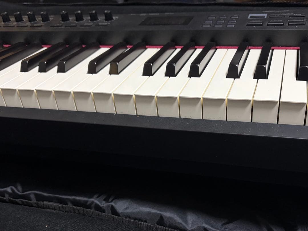 Roland RD-88 & CASIOソフトケース