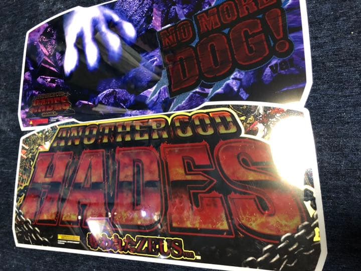 アナゴ純正パネルフィルム2個セット