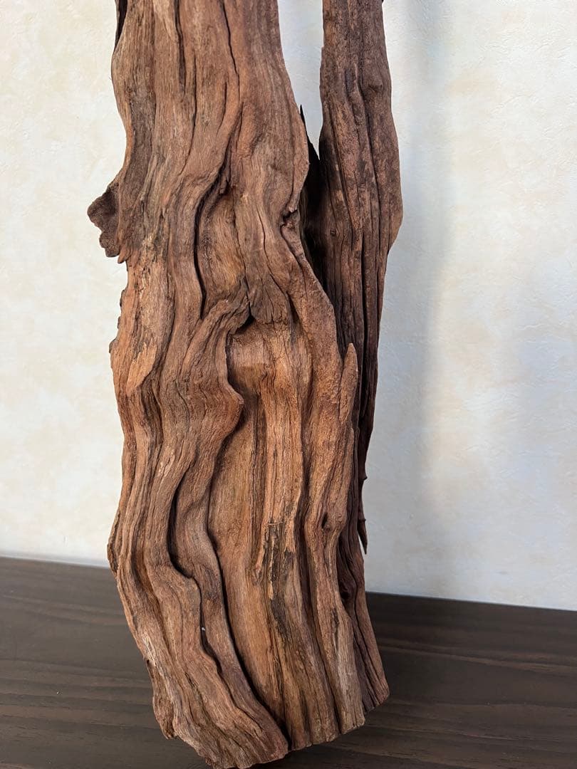 HX-026 流木　ホーンウッド　マシンガンウッド　アクアリウム　ブランチウッド