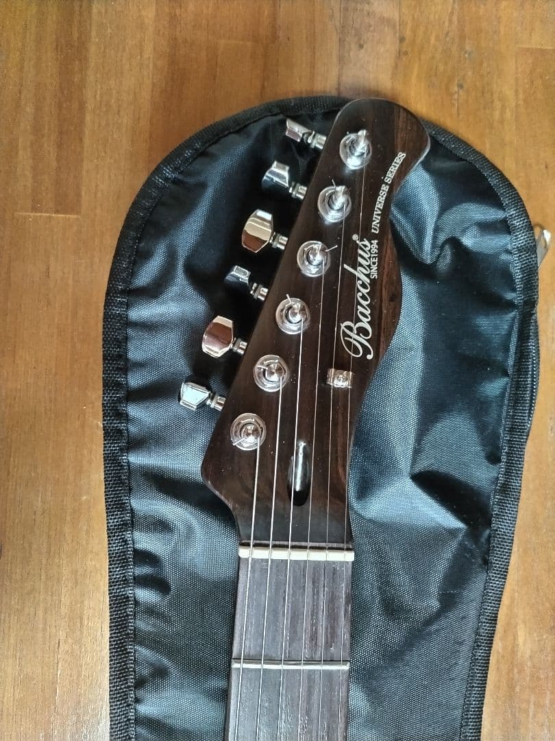 Bacchus エレキギター ダークウッド