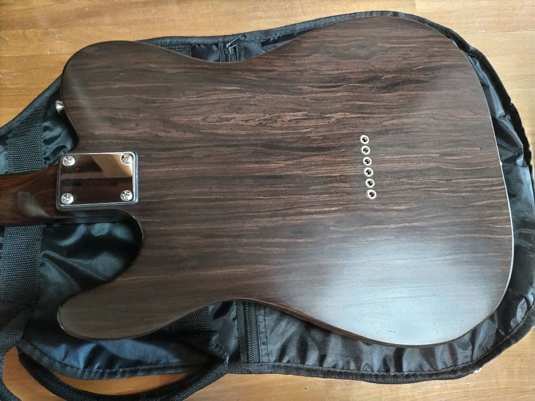 Bacchus エレキギター ダークウッド