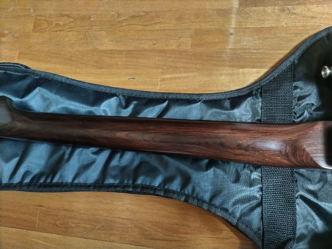 Bacchus エレキギター ダークウッド