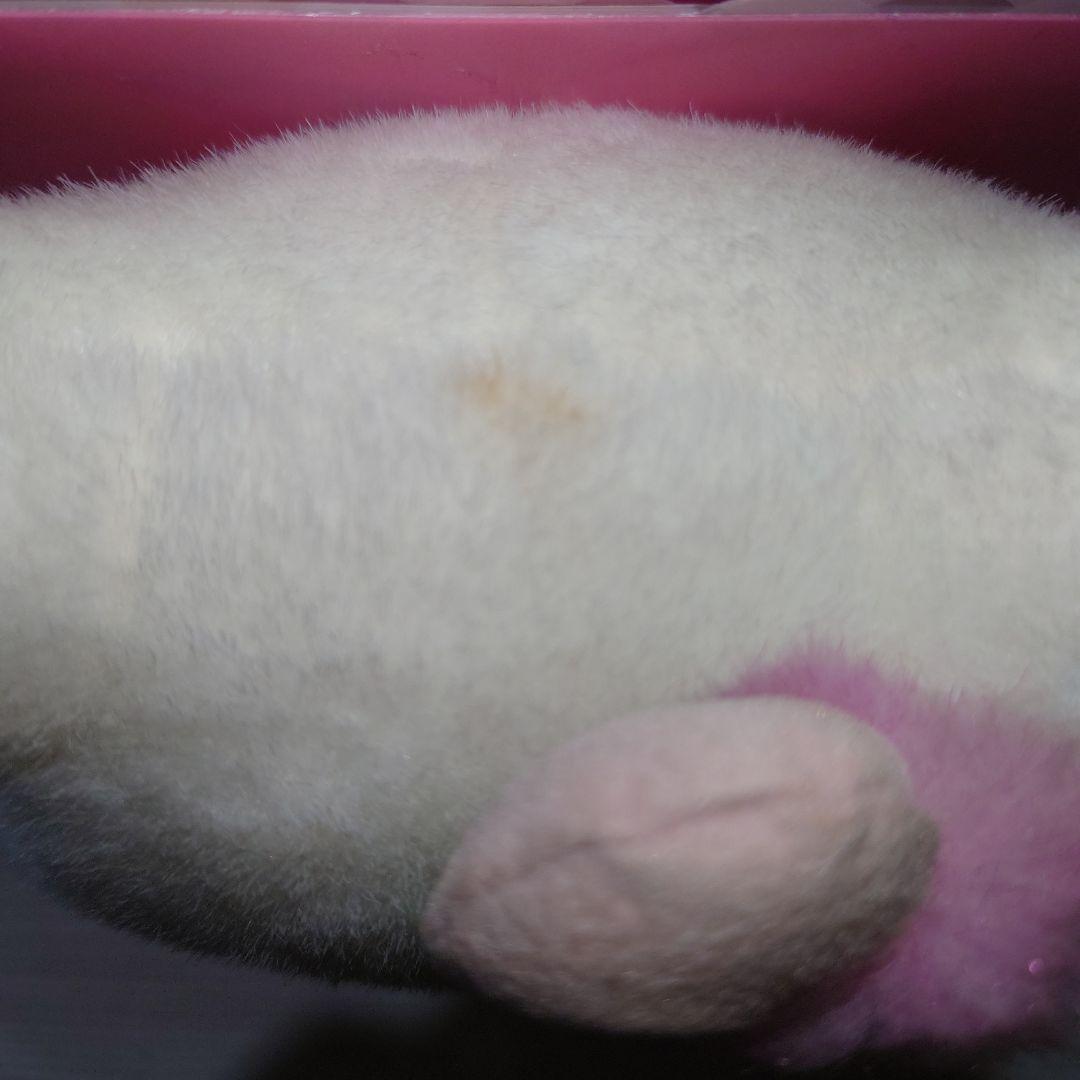 ハローキティ　バックスキン　ドール　ぬいぐるみ　サンリオ