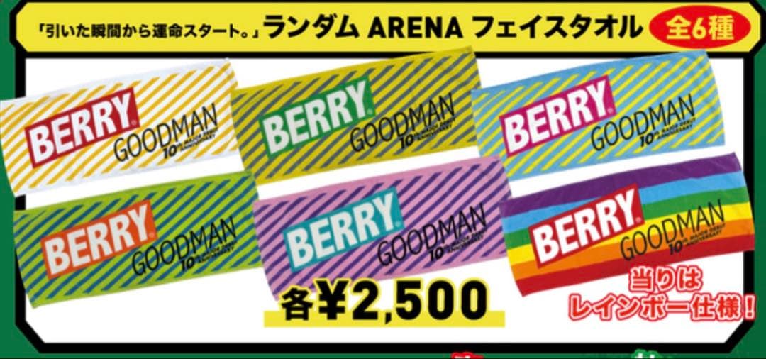 BERRY GOODMAN ベリーグッドマン　ツアーグッズ　タオル甲子園　17枚
