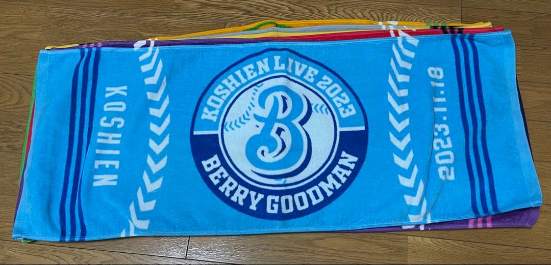 BERRY GOODMAN ベリーグッドマン　ツアーグッズ　タオル甲子園　17枚