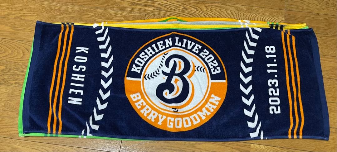 BERRY GOODMAN ベリーグッドマン　ツアーグッズ　タオル甲子園　17枚