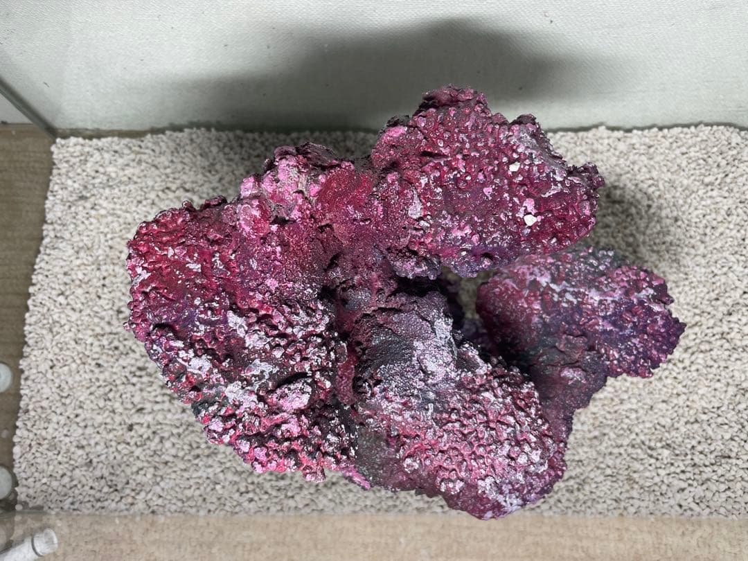 人工ライブロック　SHR37 アク抜き済み安心塗料使用