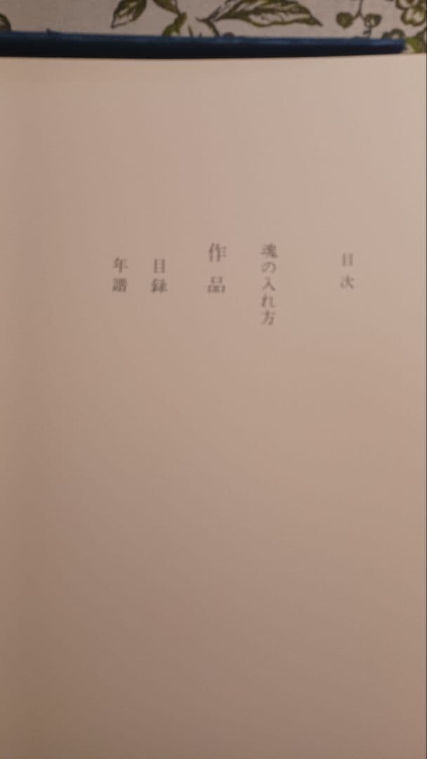 【特別限定版】中川一政『近作画集　第一』