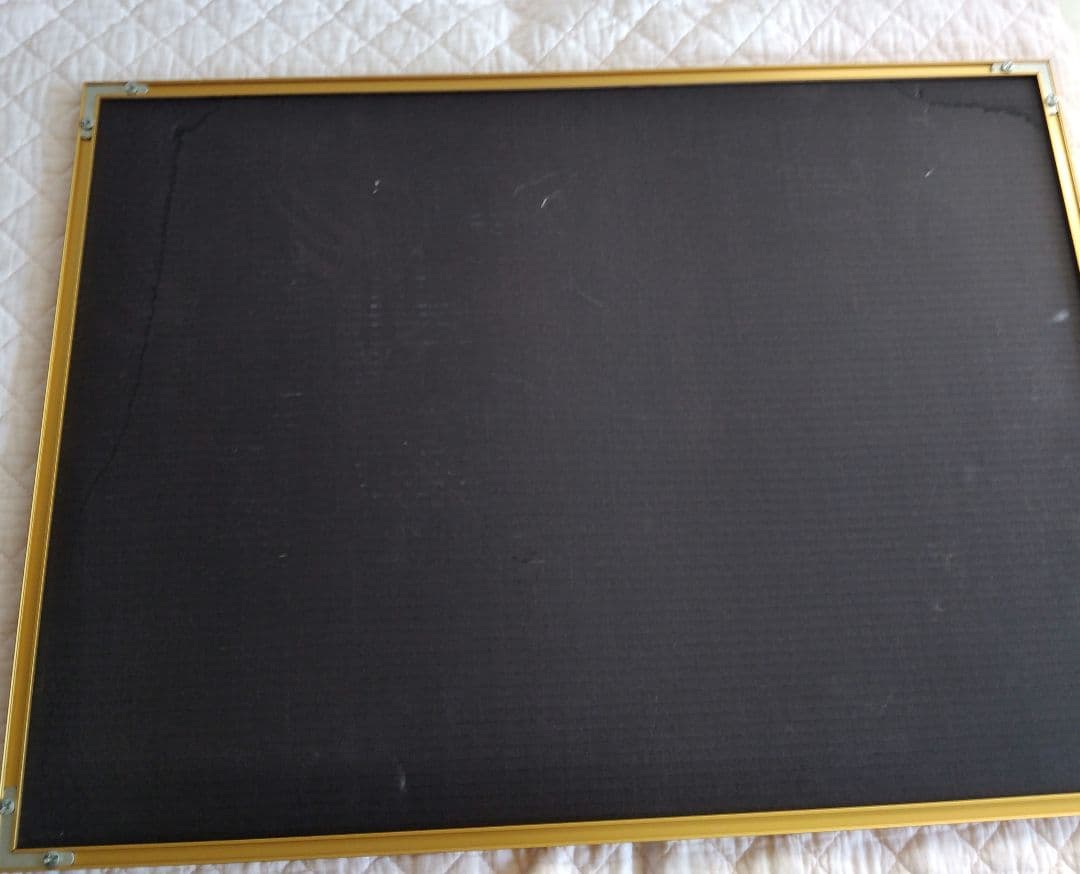 古地図 PLAN de PARIS Turgot