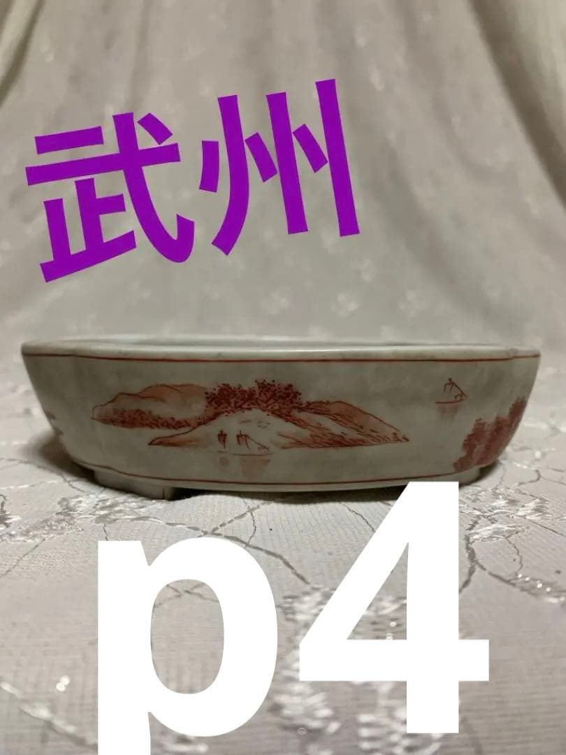 武州　絵鉢　盆栽鉢