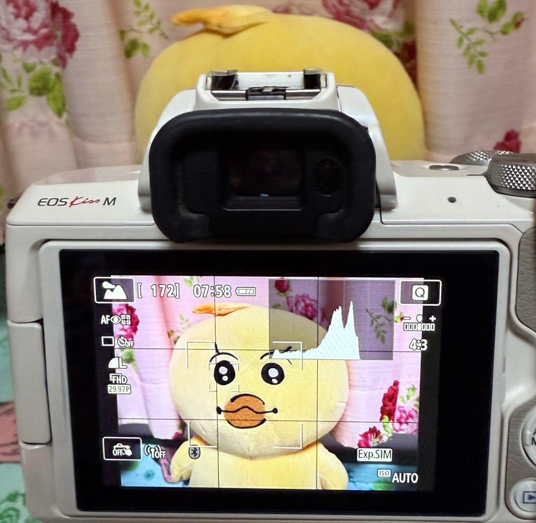 Canon(キャノン) EOS KissM ダブルズームキット