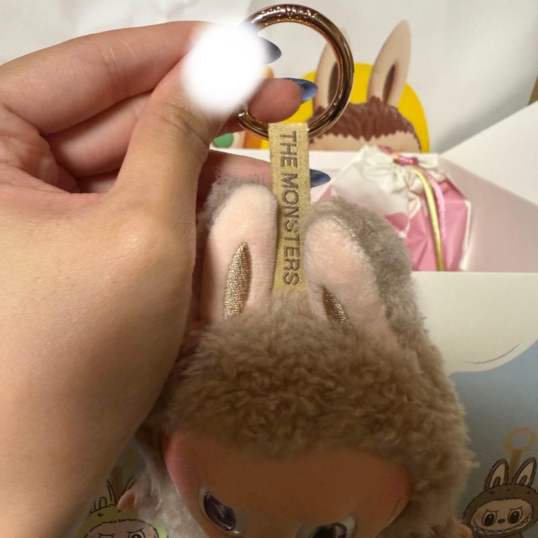 Popmart Labubu ExcitingMacaron 正規品 セット