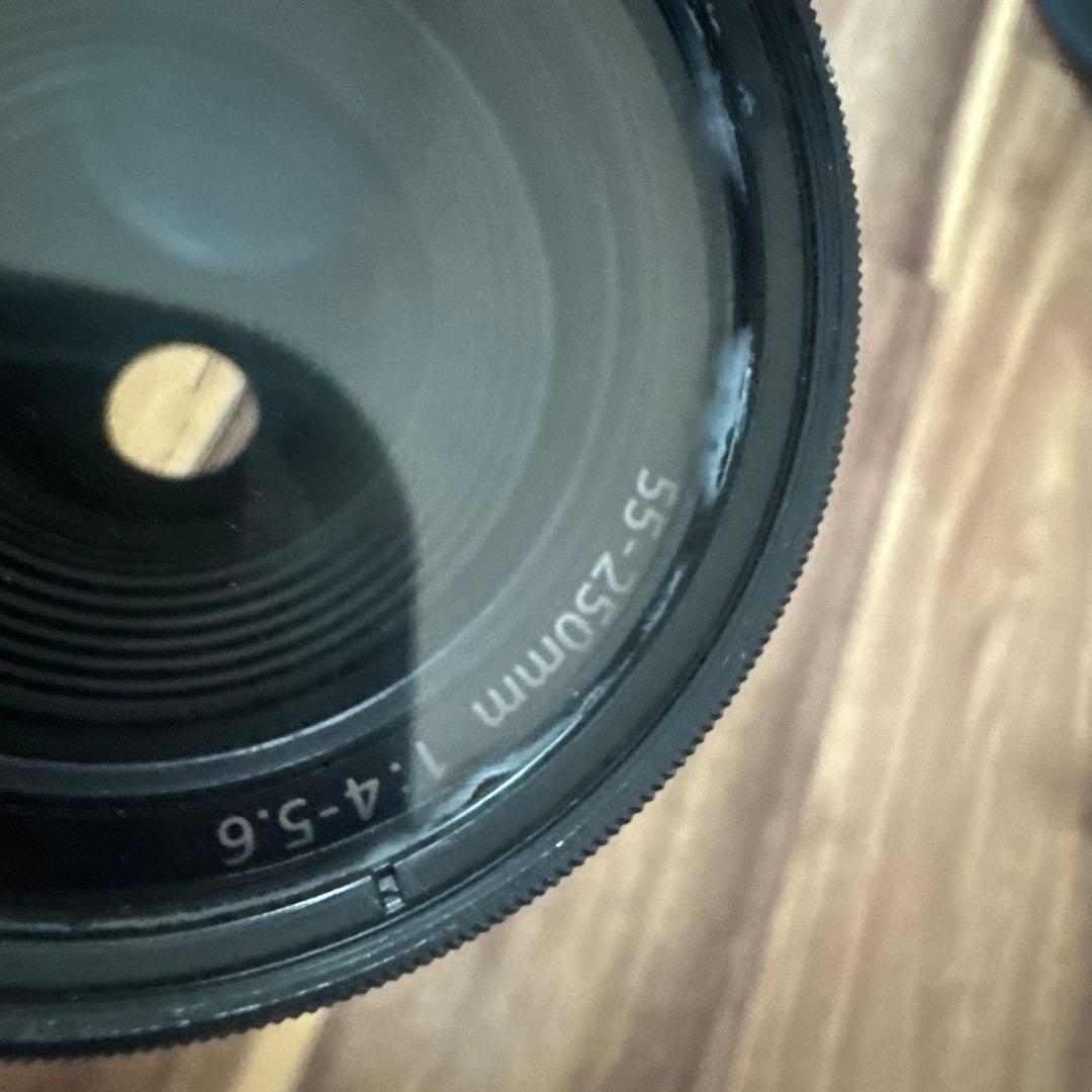 CANON EF-S 55-250mm ズームレンズ　撮影画像有り