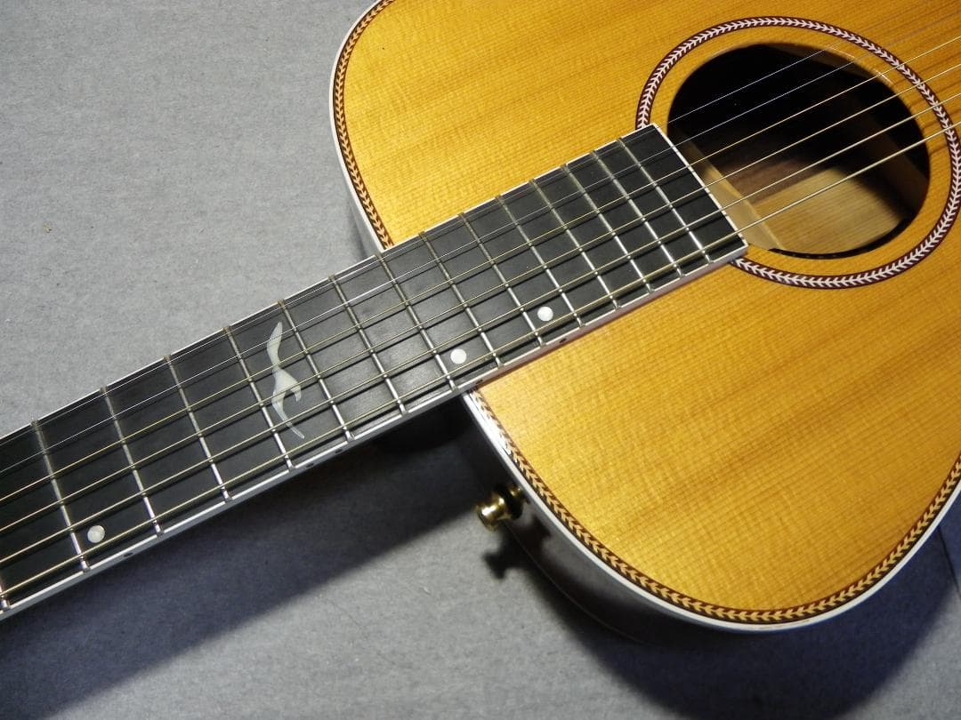 お値引き/シーガルArtist Studio EQエレアコ、LR Baggs装備