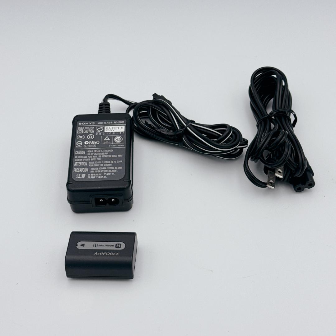 【ほぼ未使用】SONY Handycam DCR-SR87 80GB HDD