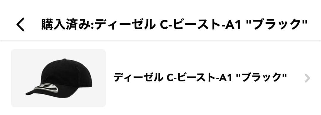 DIESEL ディーゼル C-BEAST-A1 ブラック メタルロゴ 正規品！