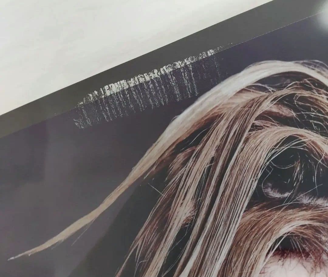 アシッドブラックチェリー　2014 アリーナ　シャングリラ　特大ポスター