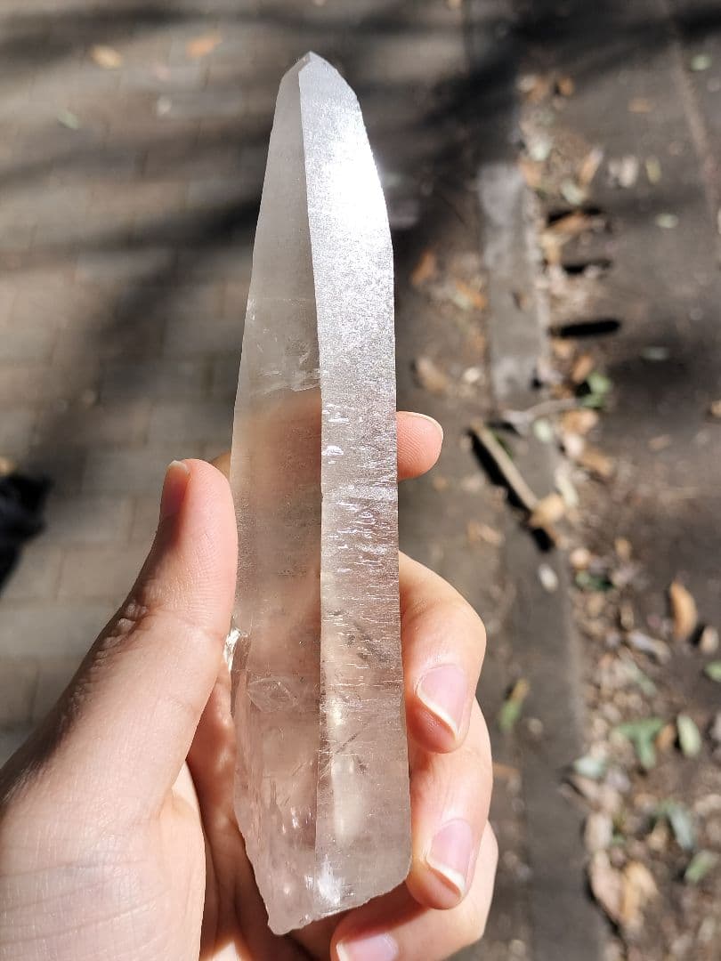 【超特価】オールドレムリアン　ピュアレイ