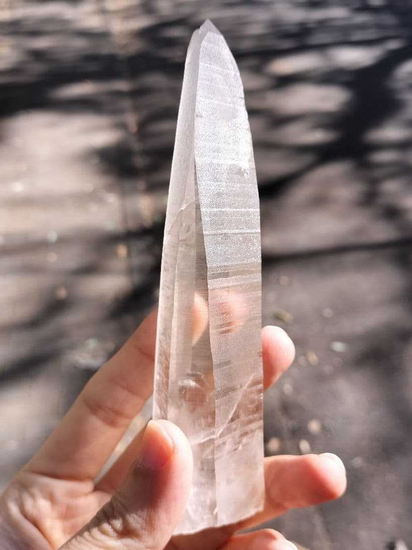 【超特価】オールドレムリアン　ピュアレイ