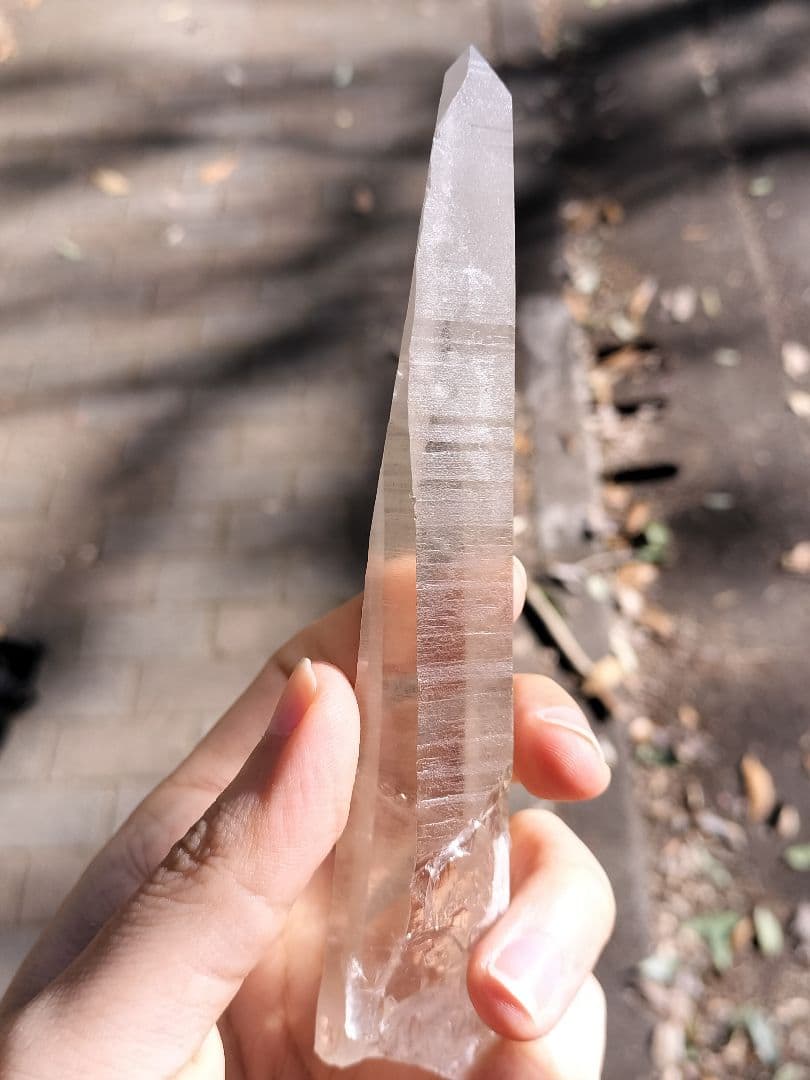 【超特価】オールドレムリアン　ピュアレイ