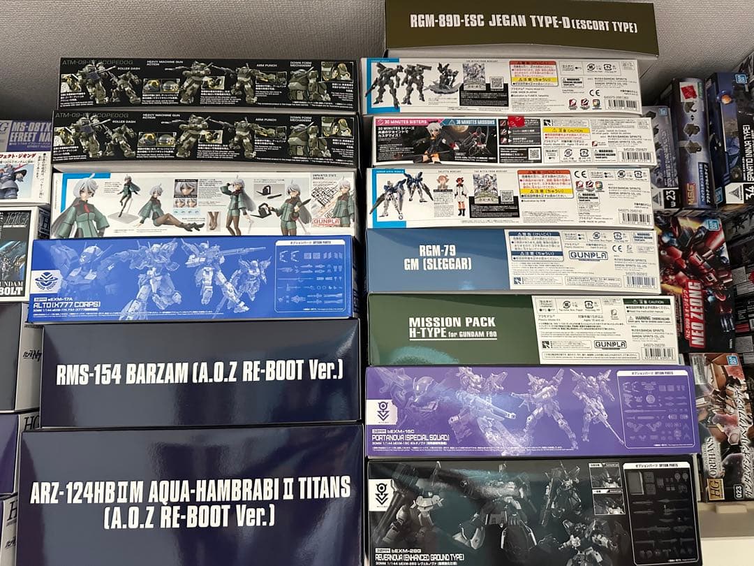 ガンプラ　mg hg