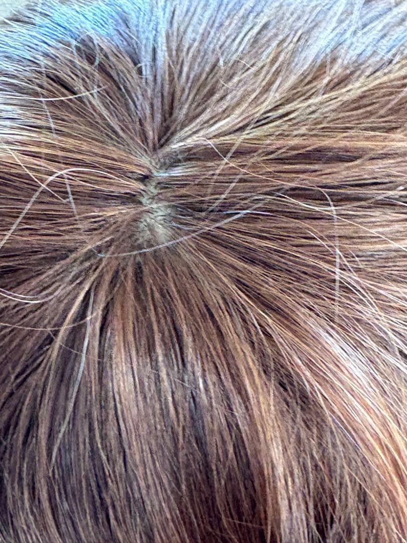 新品！坂巻哲也 ヘアコサージュ フルウィッグ スイートショート