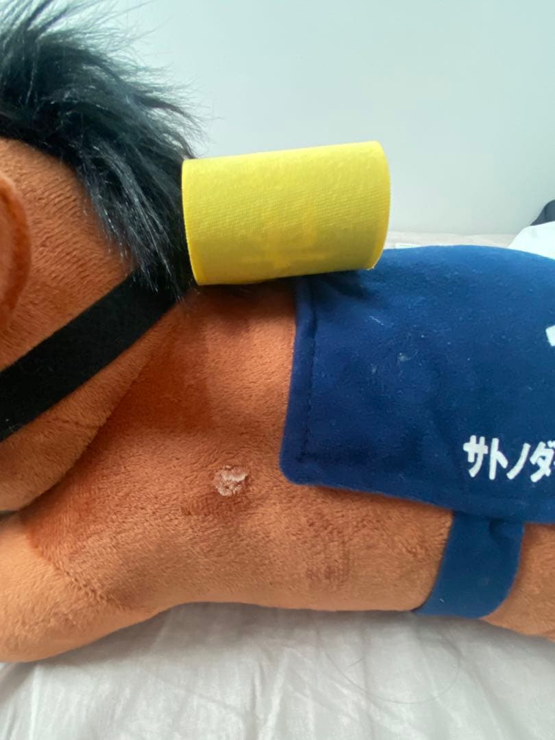 サラブレッドコレクションねそべりBIG 5種セット