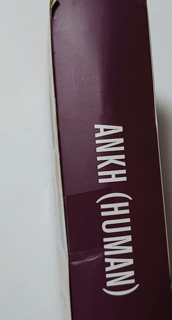 た*ー様 S.H.Figuarts 真骨彫製法 仮面ライダーオーズ&アンク(人間