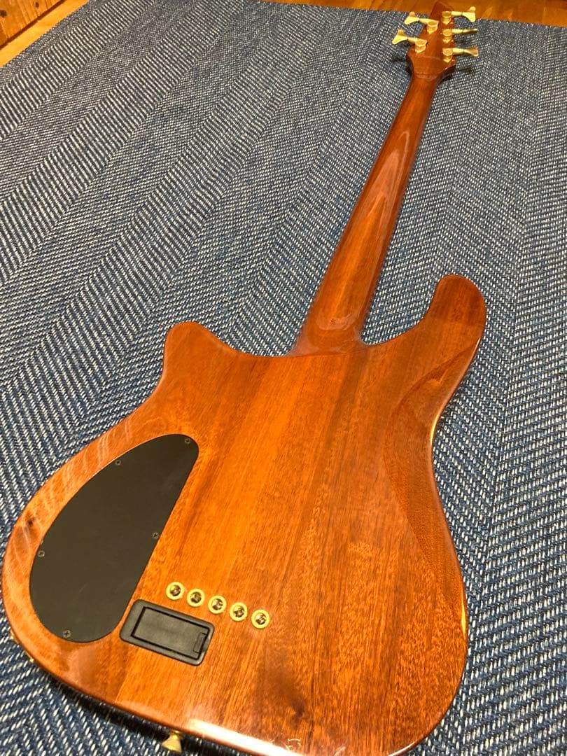 Carvin AC-50 (フレットレス)